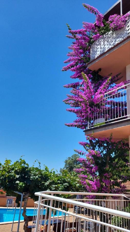 Stella Apartments Vinkuran Zewnętrze zdjęcie